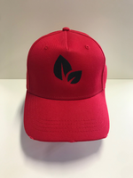 Destroyed Logo Cap Red