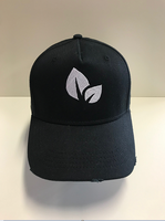 Destroyed Logo Cap Black