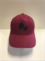 Destroyed Logo Cap Bordeaux